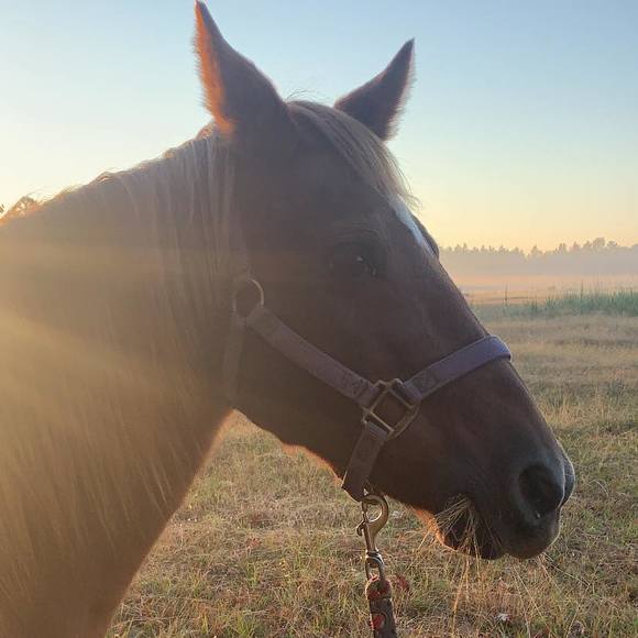 Meet your Posher, Randy n heather - Picture 1 of 1